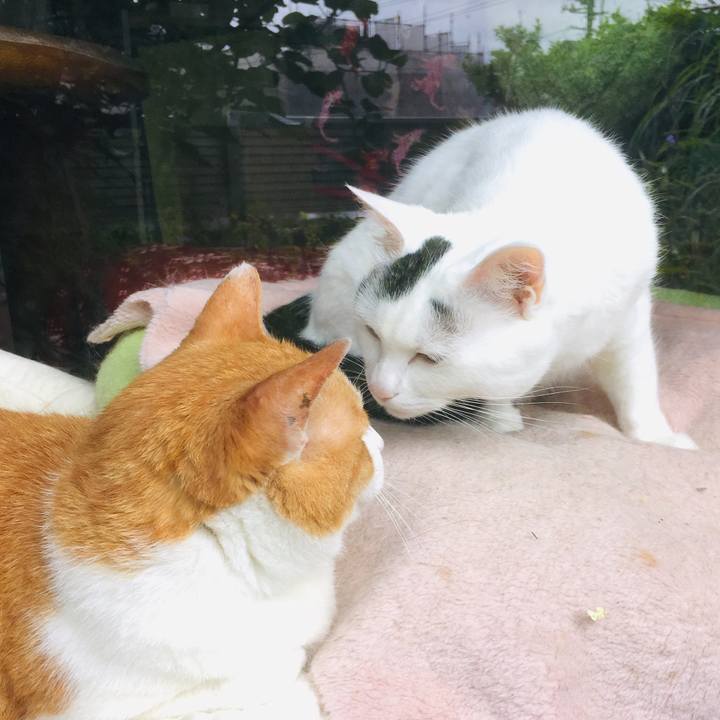 Aa5ee9e6 151c 449d 9f12 7b96a77d68ce 1562382396194