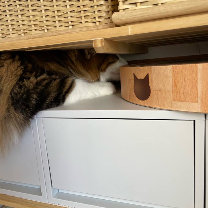 Aa5ef300 4673 48d8 809f f637c28e47a4 1654424137780