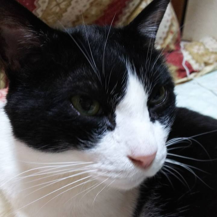 Aa5f0e64 5056 44eb 8e1f 8ac0a6f54336 1557672805139