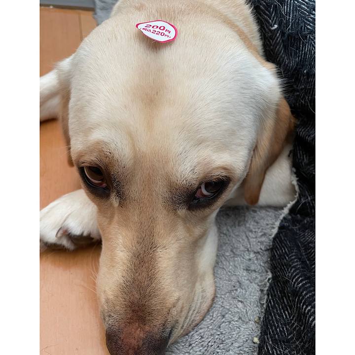 Aa5f7f9a adb5 49d8 b33f d93b56b40a43 1649553213930