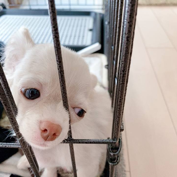 Aa5f8952 e80d 457a a0df 9780d4111c6e 1591076533350