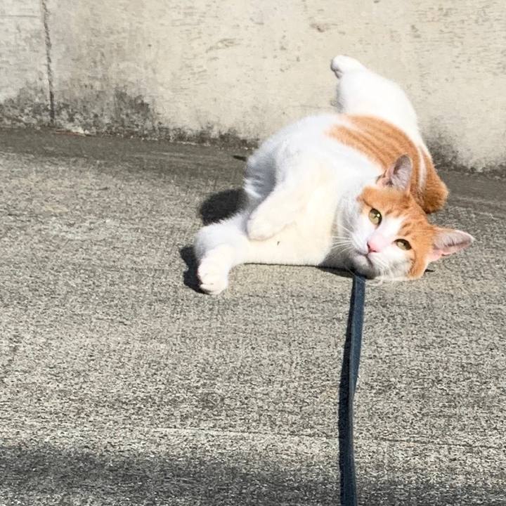 Aa5f9585 1f33 4c2e a347 71fe3294f7e3 1573011897606