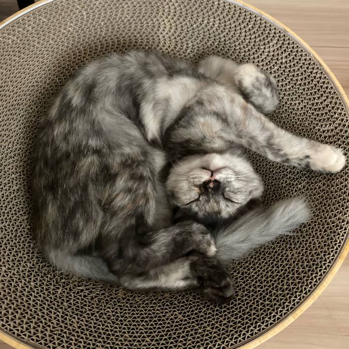 Aa5fa305 56a6 4f1f 8296 b7775a4ccf17 1695452155292