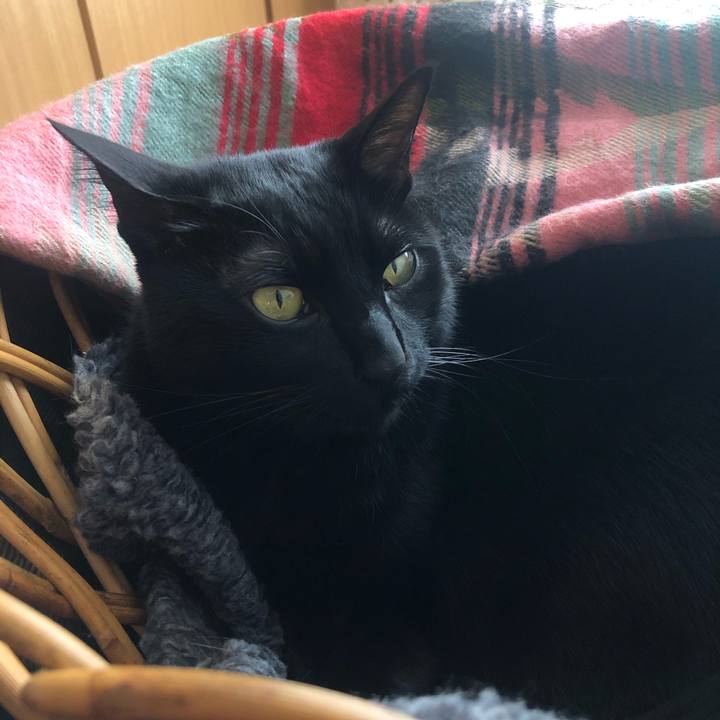 Aa5fa562 23be 4819 b440 5f3c6d833154 1586061335704