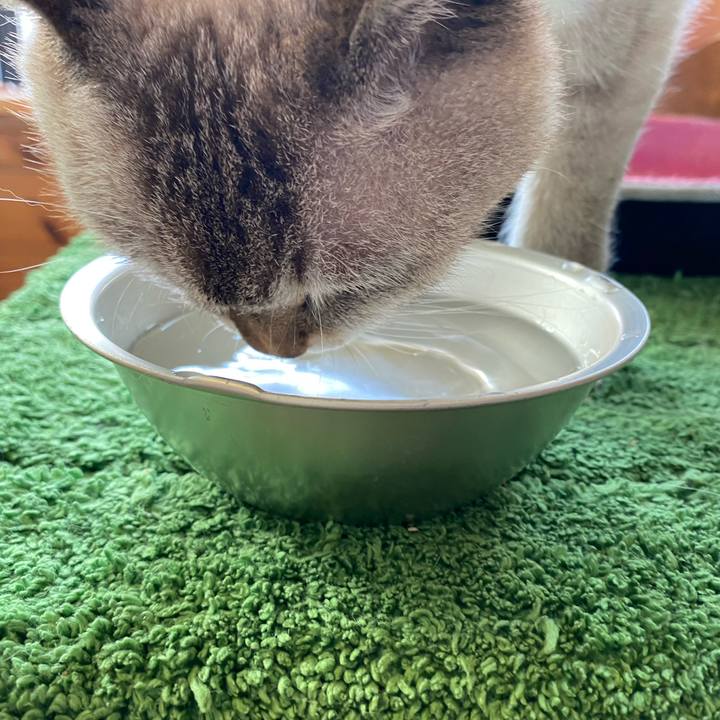 Aa5fc08b 15e5 4c22 86c5 02ced1847887 1598917545928