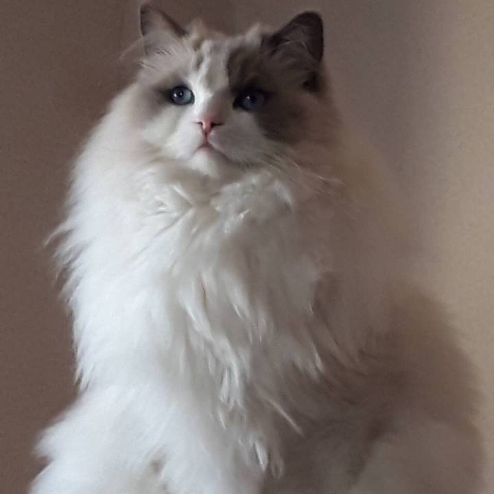 Aa5fe8c8 d532 4836 805d a14e79dd4a92 1572424615939