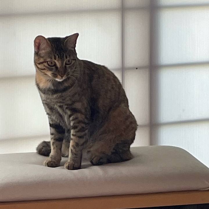 Aa605ff6 30ce 4ced b23f 1fadbeaf73d1 1756352015435