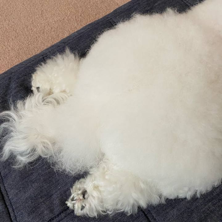 Aa60c68c 839c 4f2a 963c 41dac1b3c2a0 1632271148370