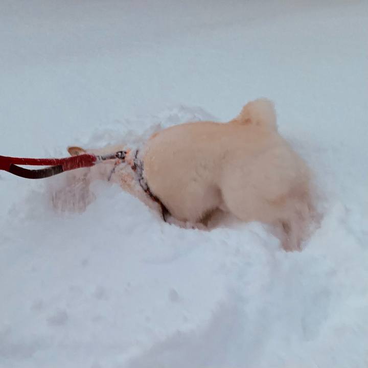 Aa60d8fe e426 4cf9 9c2e 08db150fd9eb 1671487871540