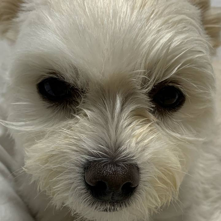 Aa60d923 91da 4d5c a858 f98d1bcafbeb 1572699452451