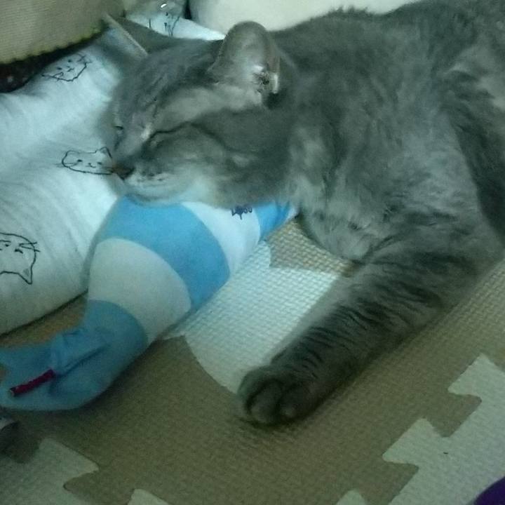 Aa610ed8 ccac 41e5 9570 94d143a1708e 1694288885782