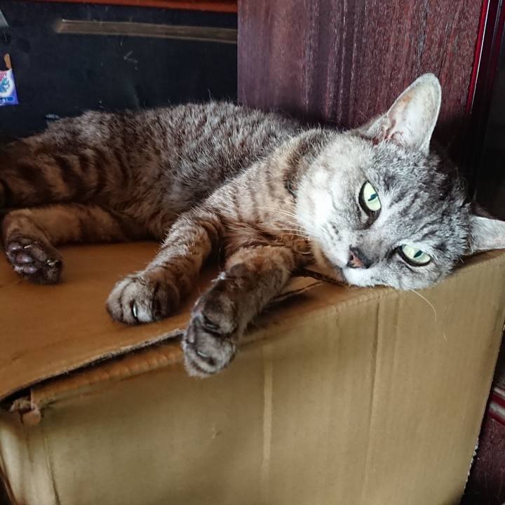 Aa612ce6 d492 4c1e a2c7 e6a36f9f9dcc 1564891955770