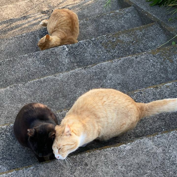 Aa613832 06af 4ff1 8f38 4caa8f81da12 1684759560197