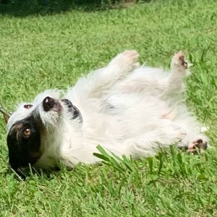 Aa6165f6 e982 413c a43f 30139e535463 1596338605651