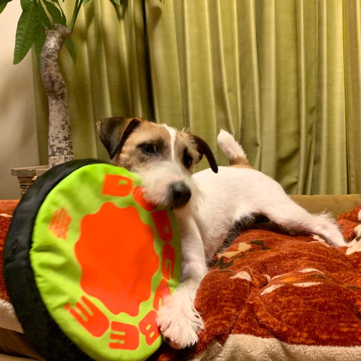 Aa6170b4 a016 4966 adb8 5b7b22435c9f 1581425502832