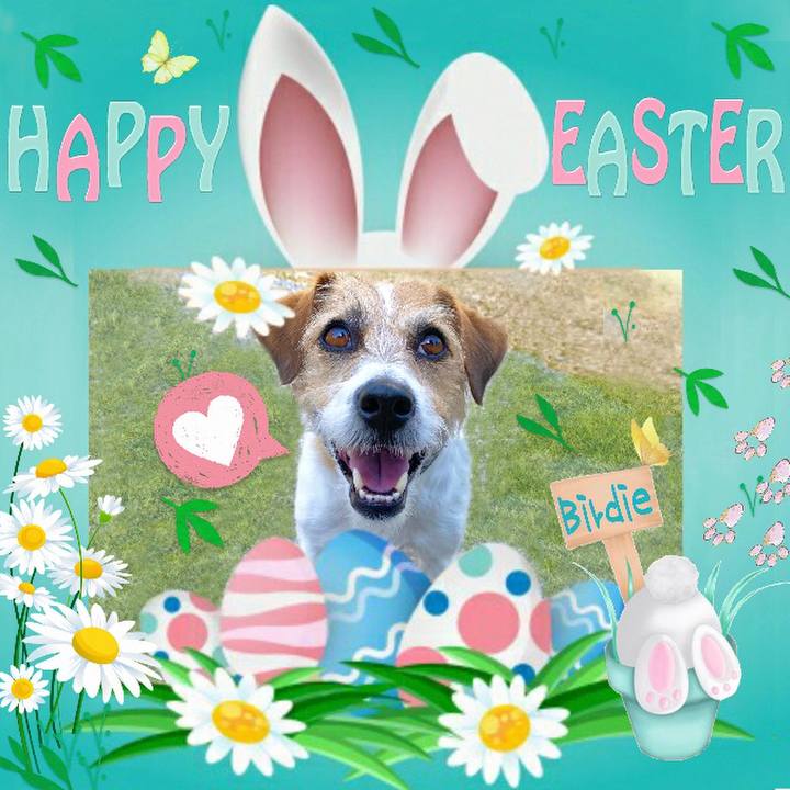 Aa61a2c9 13c9 4769 b11a 358fe1e07e01 1617534934045