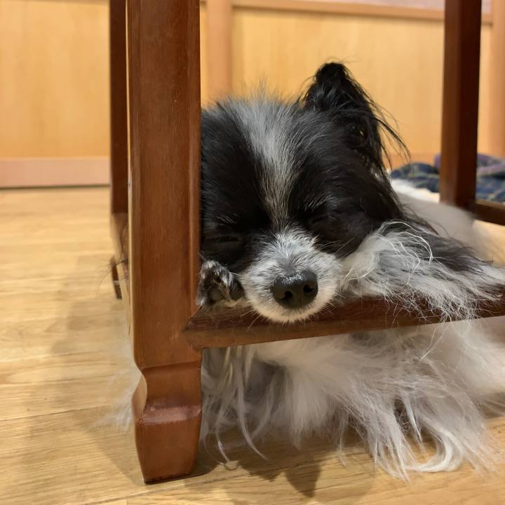 Aa61d419 005e 4c1f 938b d463d171aab9 1561201519459