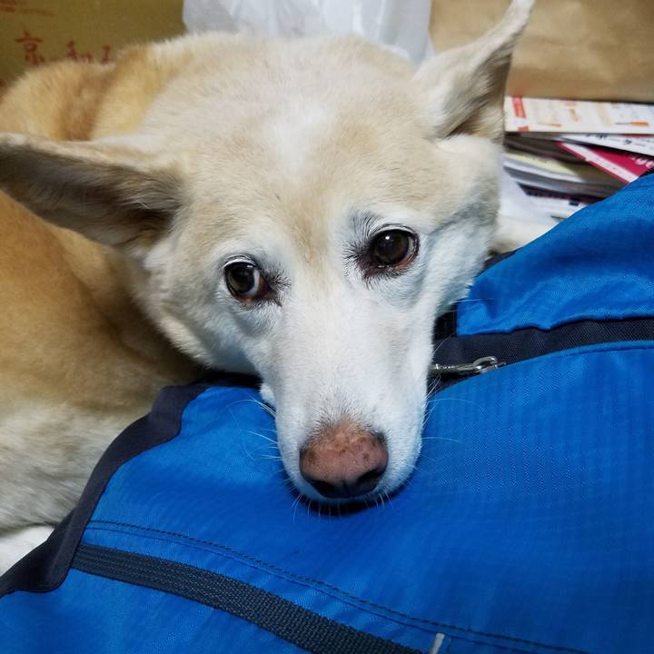 Aa621eaf 4dfa 449b b9ca c51be2318b26 1568116371485