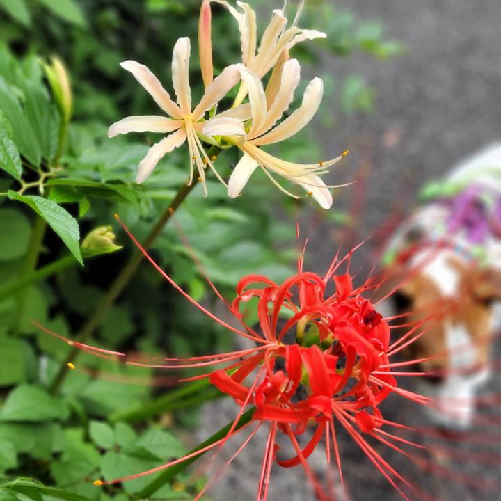 Aa622c5e 5aaf 46d5 80a1 afb847d97757 1696115428931