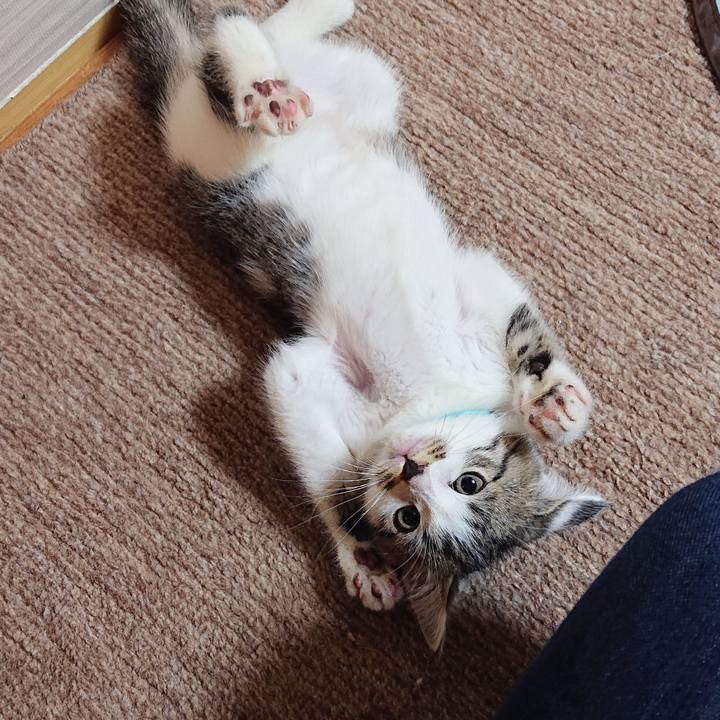 Aa6240e6 8281 4939 83aa 0a684041fed6 1540642359697