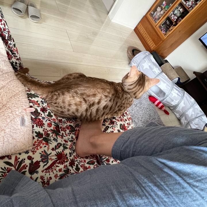 Aa626696 0c6a 44e3 a622 e12cc0c018a4 1652569849394