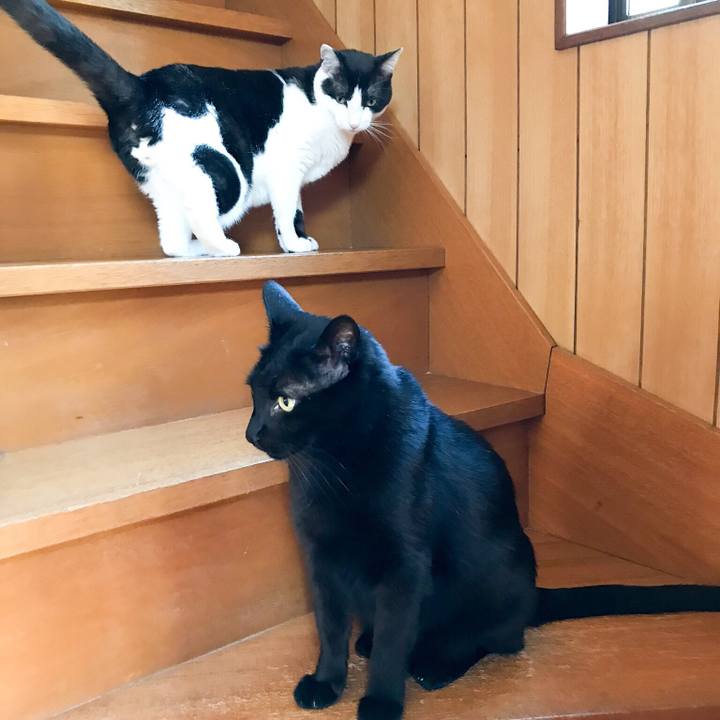 Aa628ec2 fc14 4f45 ba8b 70575ffc615b 1530796934372