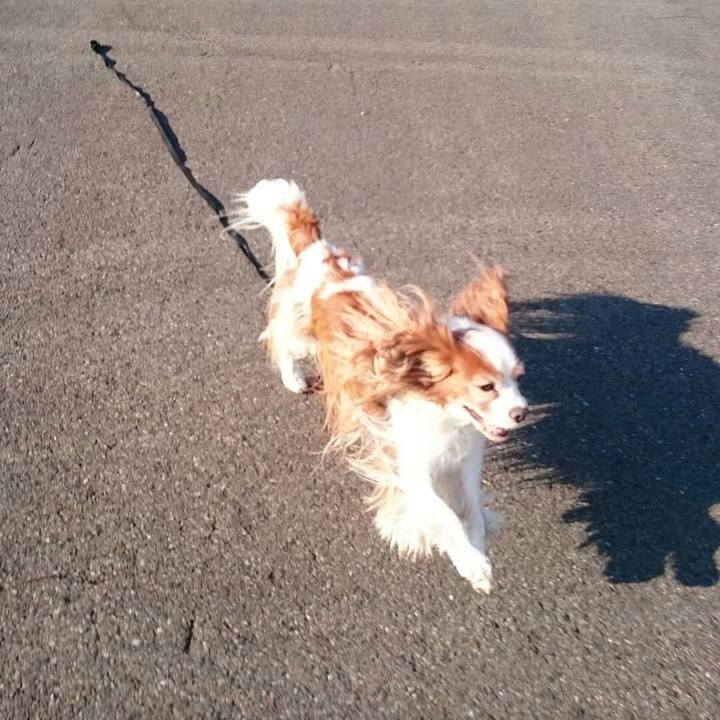 Aa62931c 5ea0 4783 a2aa ec6f88e8dcd6 1529619071324