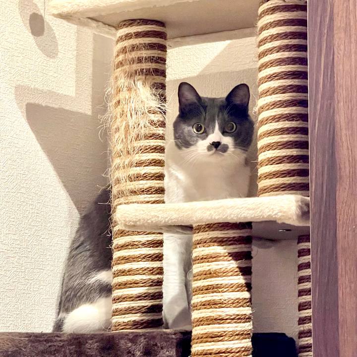 Aa631b58 cb45 40de 8f9c 5bf15f1e74f0 1697535453307