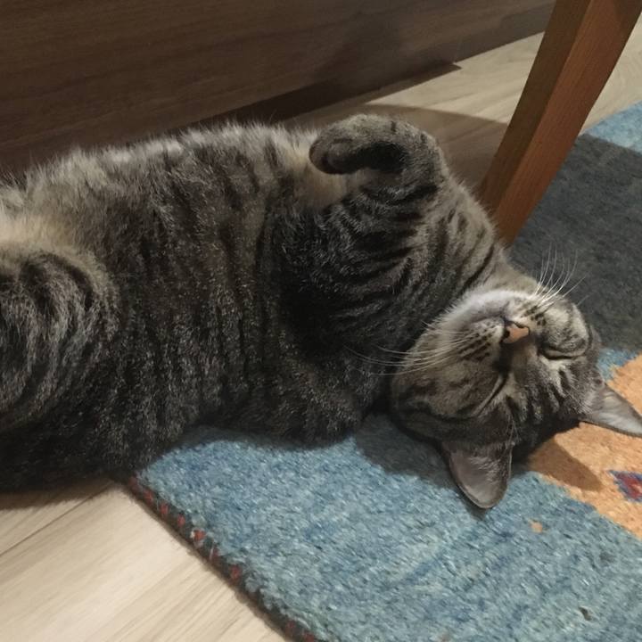 Aa631f87 bf6b 48ed a95f 46defab33efd 1589461587682