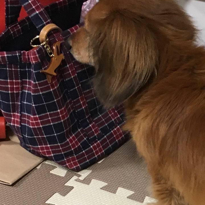 Aa6321f7 4b3d 45de 805b 33d8a516cdd1 1571236997202