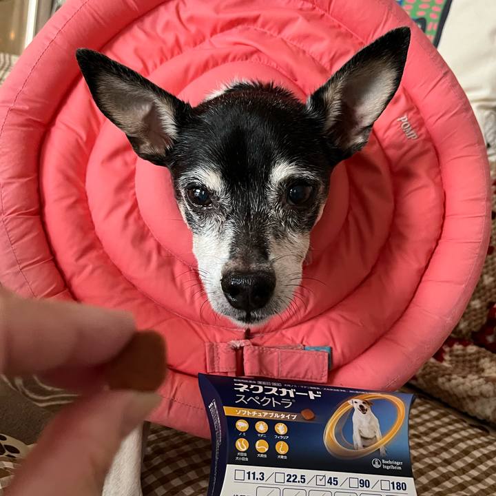 Aa636f05 fcb7 4093 910a a65475211386 1636930703801