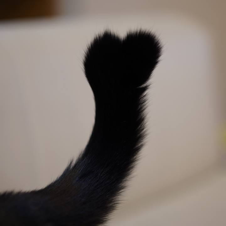 Aa6371a3 7de2 4037 b4c7 84081d5d639d 1574120295204