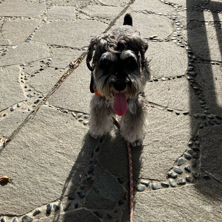 Aa639047 b856 4173 8d03 3a10652b070e 1722169994182