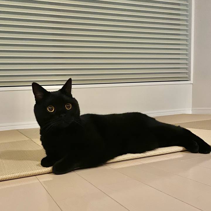 Aa6430e1 cefe 42df 9859 b6975896c7a6 1635848622809