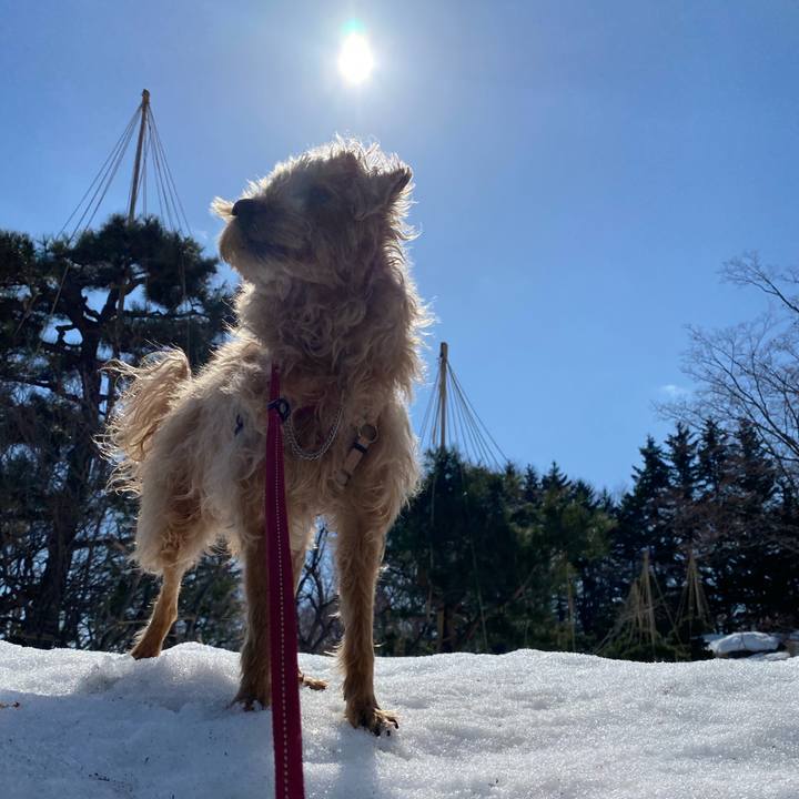 Aa6448e7 963c 4588 9339 a19c3434db87 1649039784682