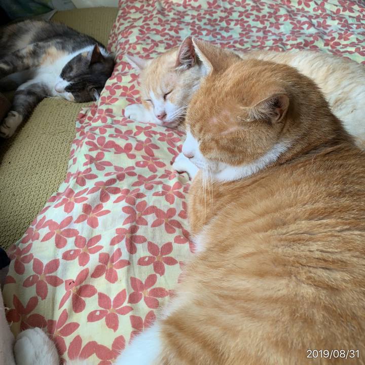 Aa64595d 265d 4f6e 9369 cb83cc55a35e 1567210855039