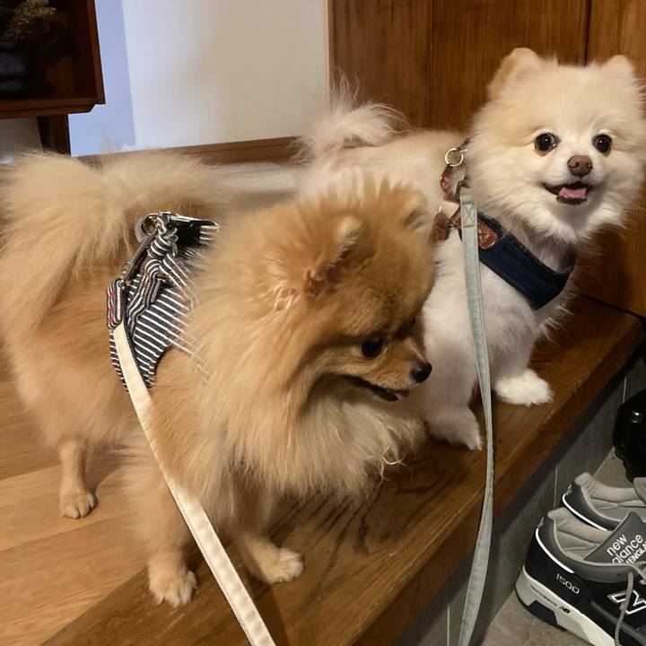 Aa6470b7 0ff9 4bf4 8d74 7d25992bda80 1697338691462