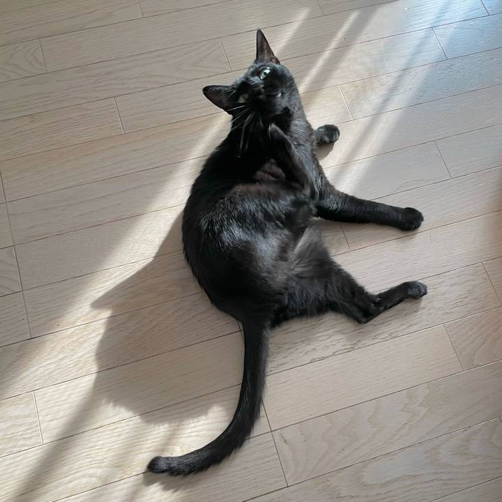 Aa64a58d 121f 465b 823a e1f1ad33051b 1659530642165