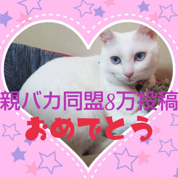 Aa64bef0 4a17 4156 9244 5d23f4b3abdd 1597622175168