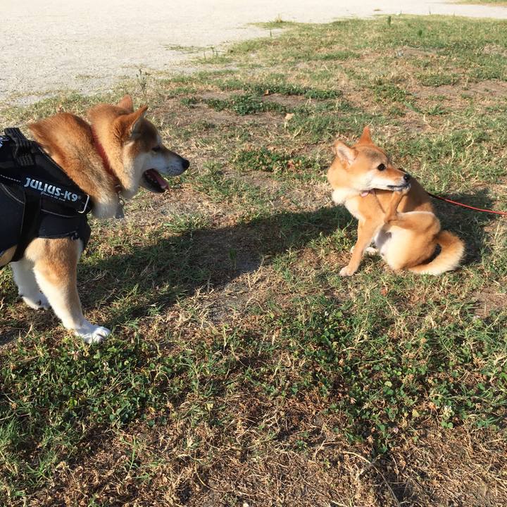 Aa64d860 3092 43a0 ba72 cf2e1ed4c46d 1532642791648