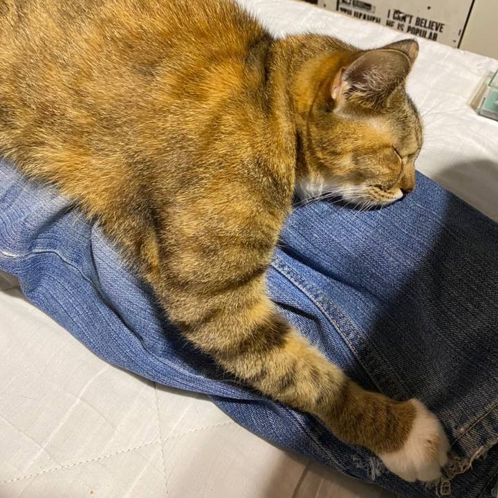 Aa64d8d7 dc73 40de b71a 4502f9f1f10b 1604843300659