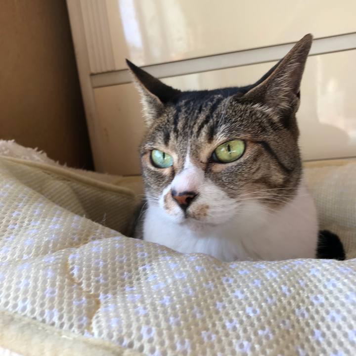 Aa64fe53 22a8 4ea5 89fb 79c92cb293d0 1527728199589