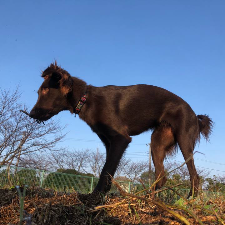 Aa651380 349e 4892 9691 ad86d602112e 1572607244906