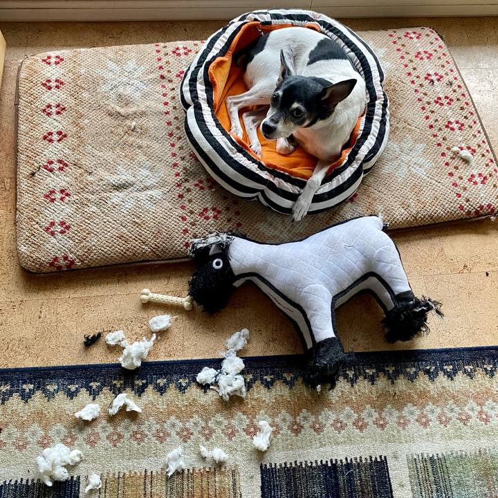 Aa653a17 6a7a 4308 88ae 643b50de9add 1624057579452