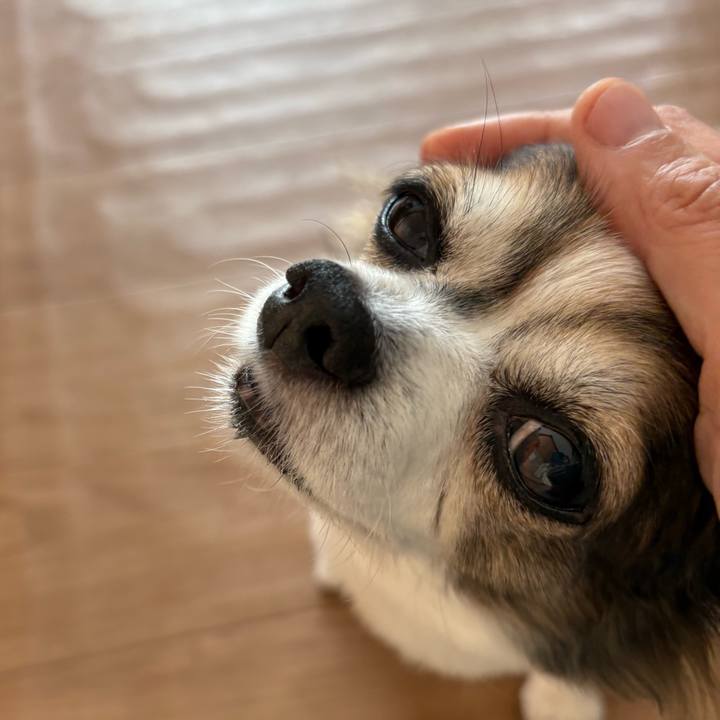 Aa6556f7 4b82 4653 bd36 6c41cf2a978f 1760788536774