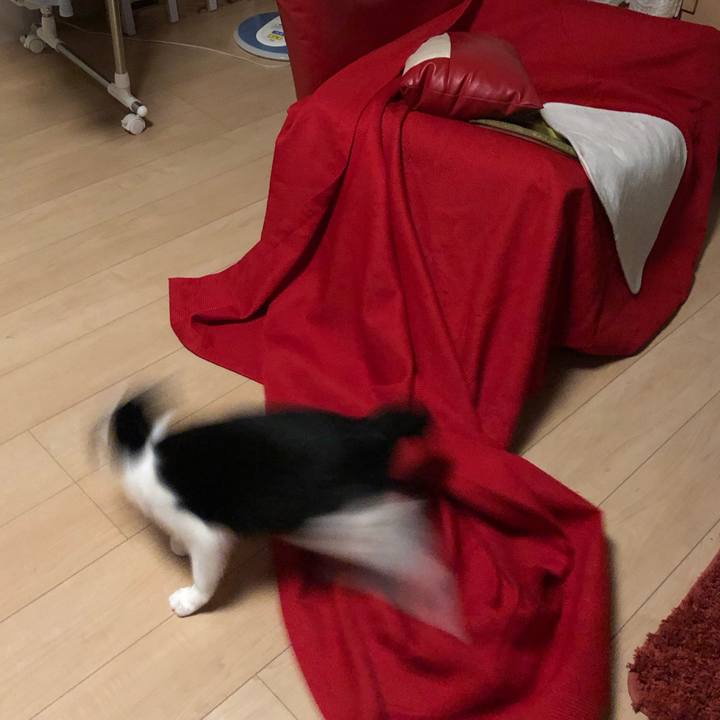 Aa65a6d2 e7c7 4427 a5f0 cf23f1f5e120 1566652365096