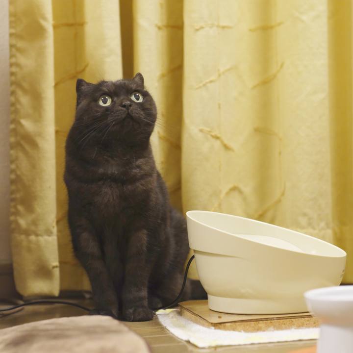 Aa65a804 5448 4b99 8630 6c0f82633e23 1603807827545