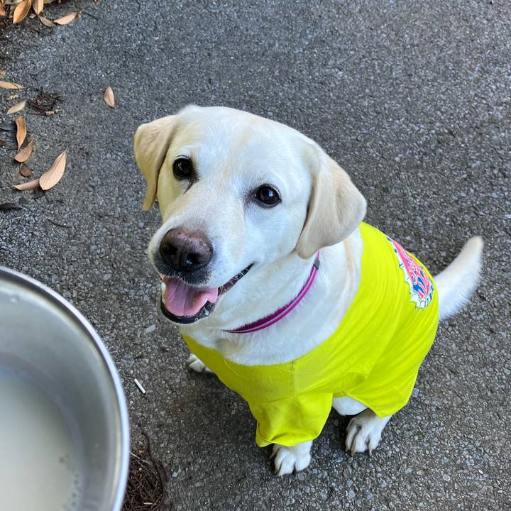 Aa65c694 a7e0 4f6f 95c5 91d917d3b890 1691461878444