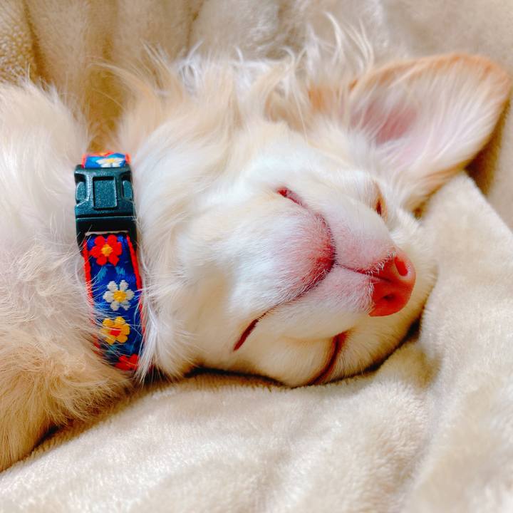 Aa65df83 2bee 4e06 a578 900beb3f40e3 1643939183326