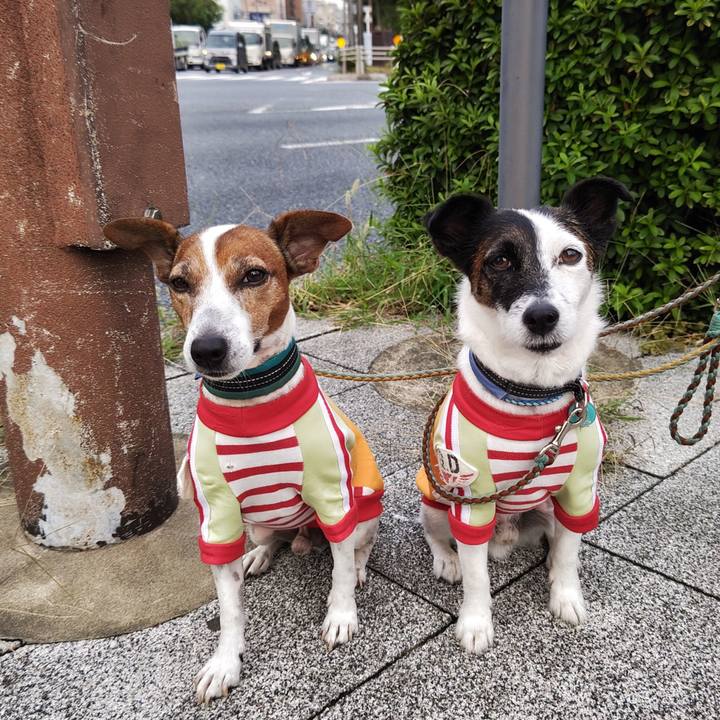 Aa65e76d 9fce 4e30 b4e4 6e169845e9b8 1727732275959